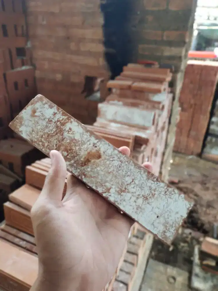 Bata Tempel Vintage¹²