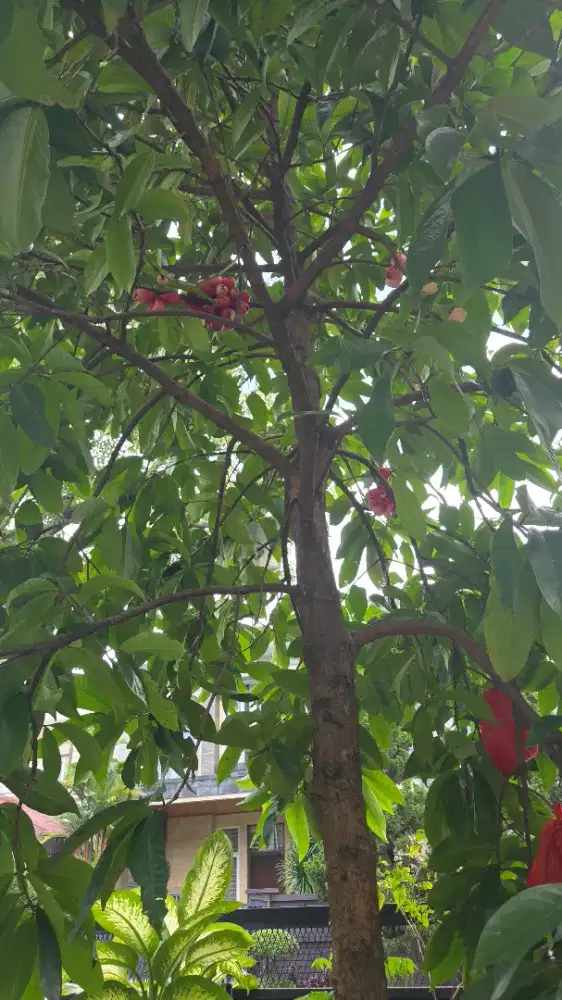 Dicari art serabutan