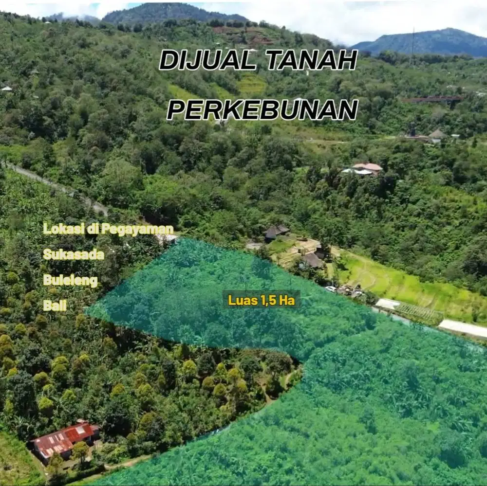 Jual tanah kebun Land for sale 1,3hektar Dekat menara Turyapada