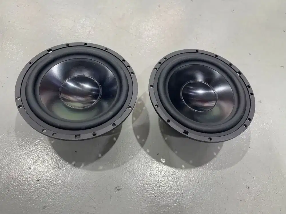 Audible Physics Brahma 6W 6.5 mid bass speaker audio