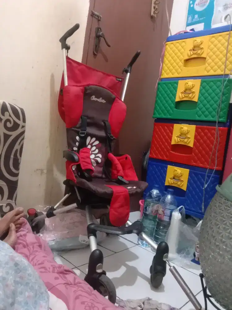 Stoyler. Coccollatte. Iftex. Normal. Muluss