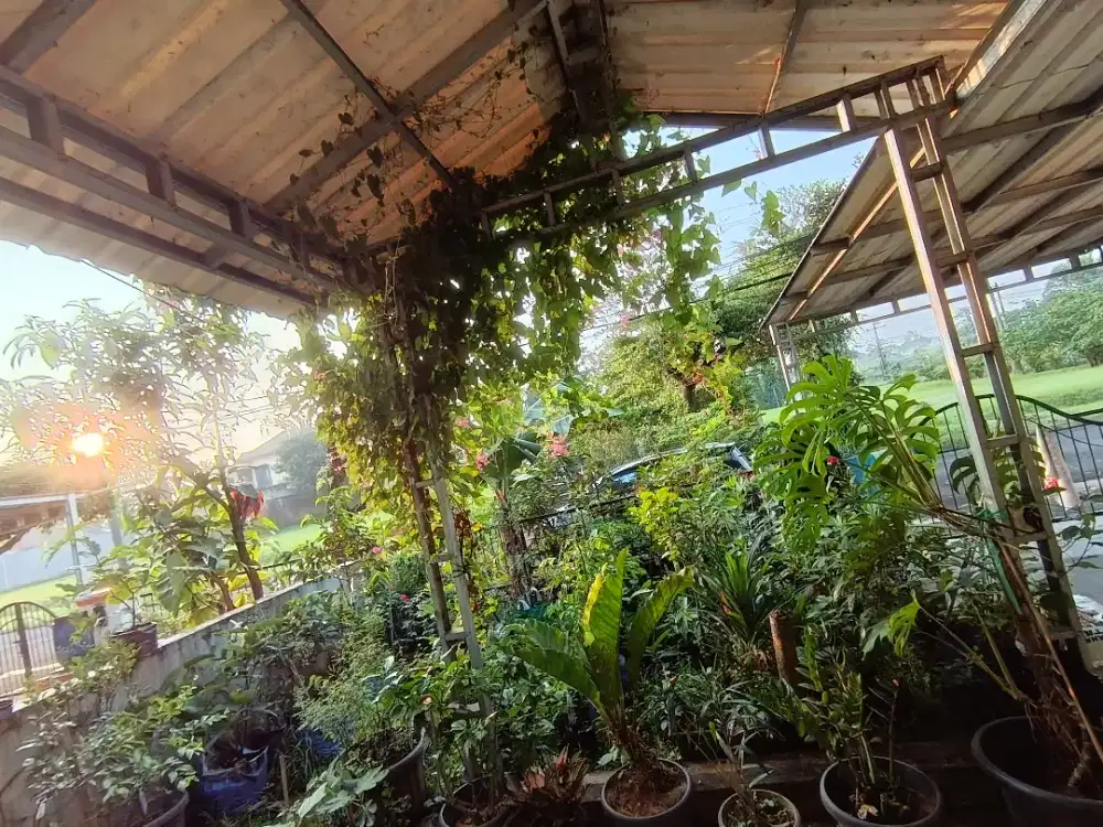 Asisten rumah tangga