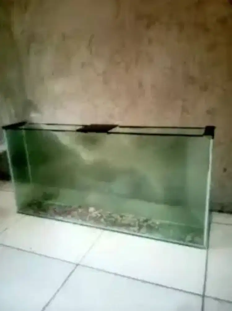 Hibah Aquarium Bekas