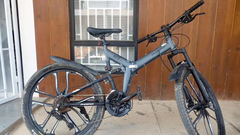 Sepeda Phoenix 10s