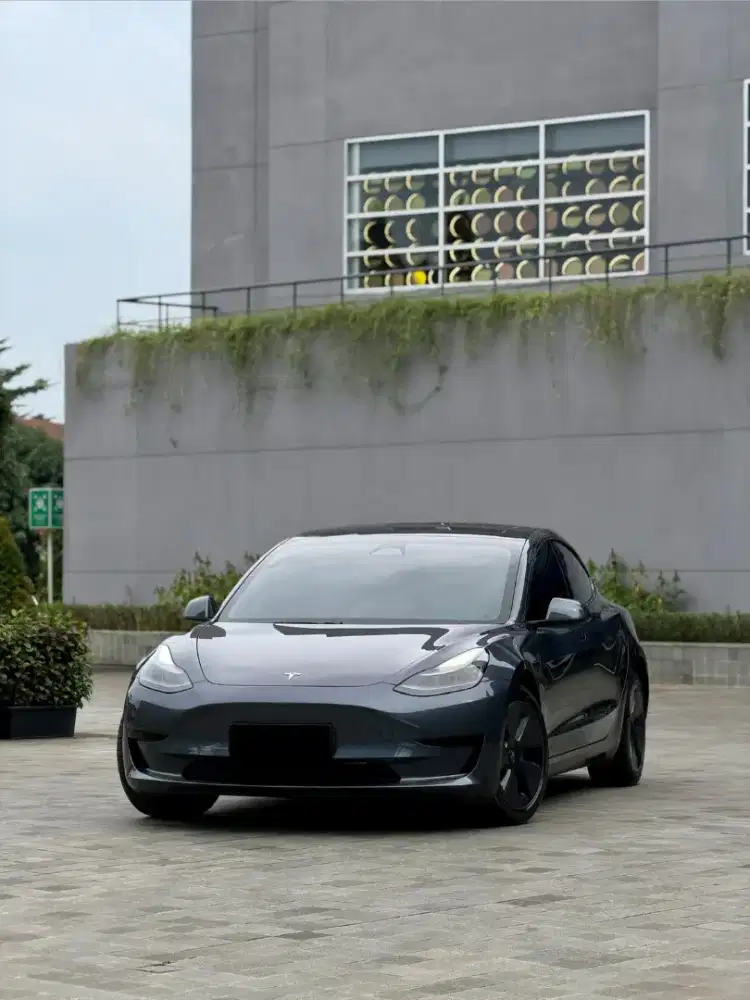 Tesla model 3 Feclift