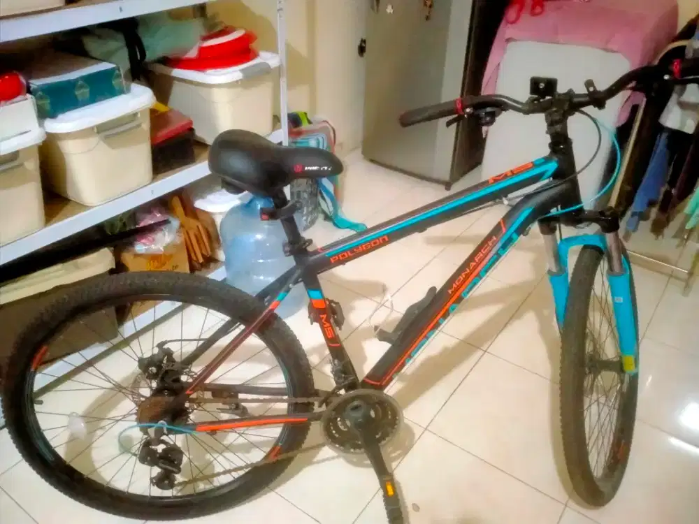 Jual sepeda Polygon monarch M5