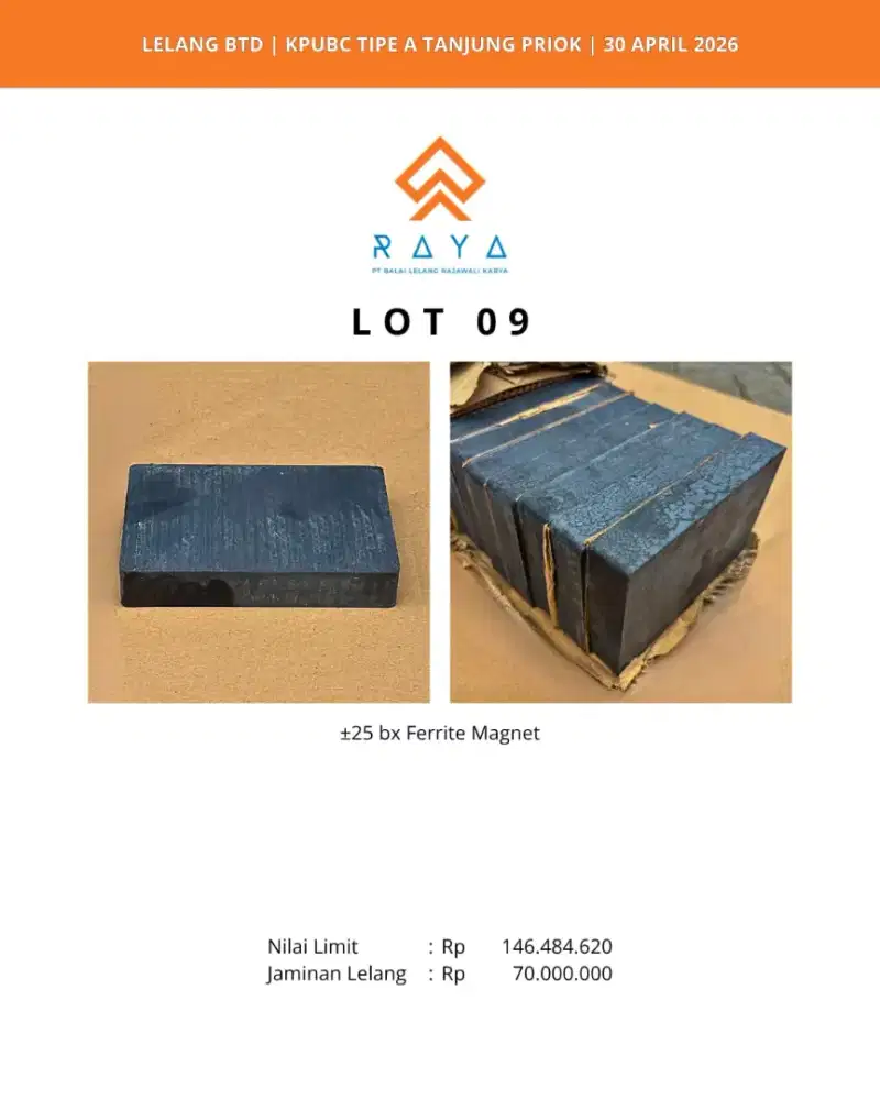 FERRITE MAGNET (25 BX)