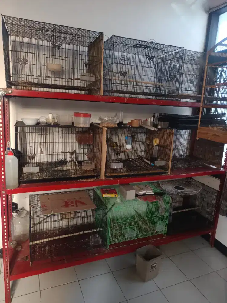 Kandang besi & rak