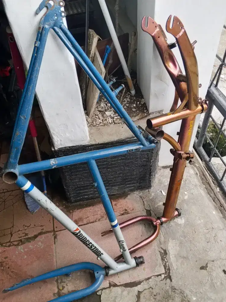 Frame federal lady dan seli Laux milan