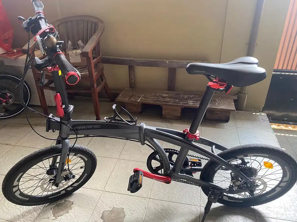 WTS Pacific Noris 2.1