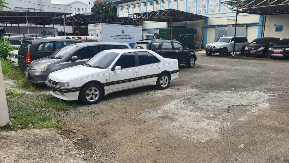 Peugeot 405 1993 Bensin