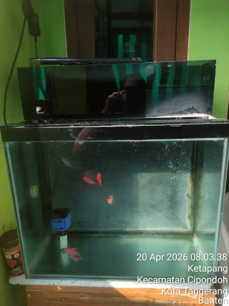 Dijual aquarium 1 set