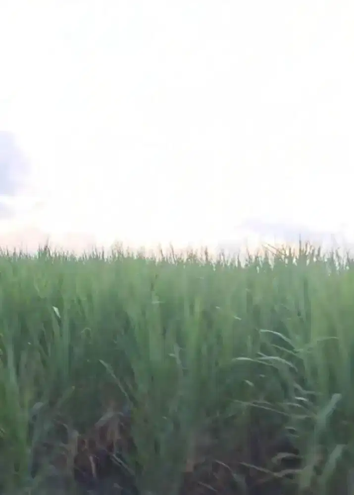 PT PMS  lowongan kerja