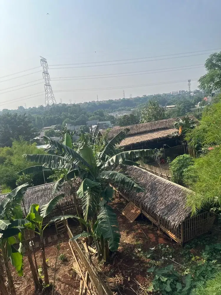 Dibutuhkan anak buah kandang domba