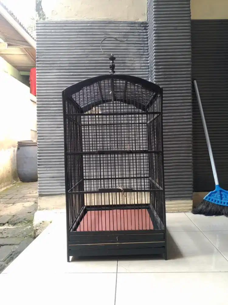 kandang kotak No2 Kokoh