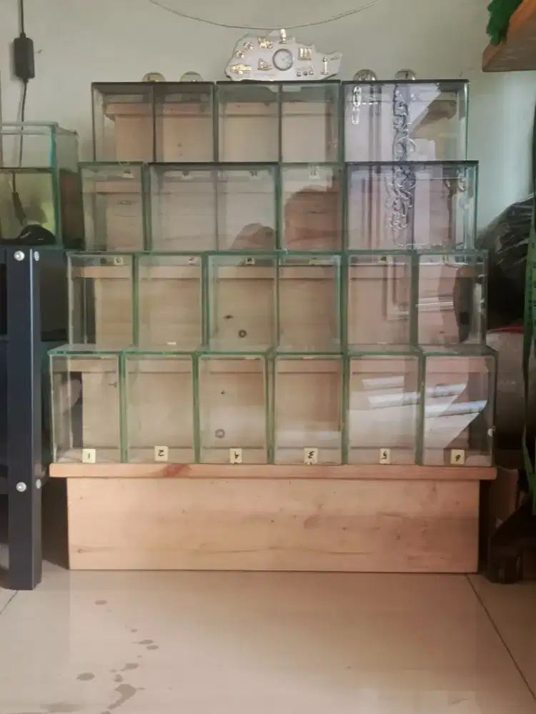 Di jual tempat ikan cupang 4 tingkat plus soliternya ada 24