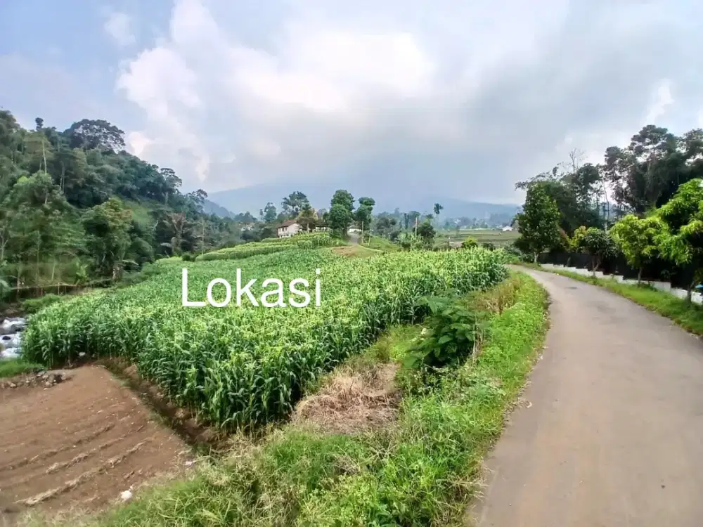 JUAL LAHAN PINGGIR SUNGAI MURAH CIMAUNG BANJARAN