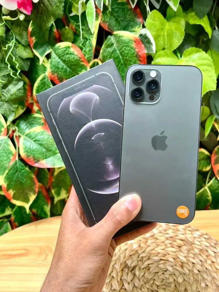 IPHONE 12 PROMAX 256 GB INTER ALL OPERATOR,