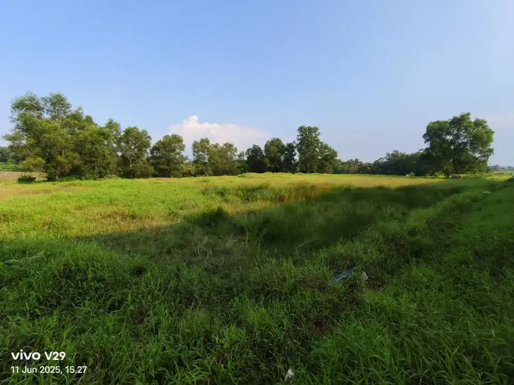 Kavling Kawasan Industri Terpadu(kitic )strategis Siap Di Bangun