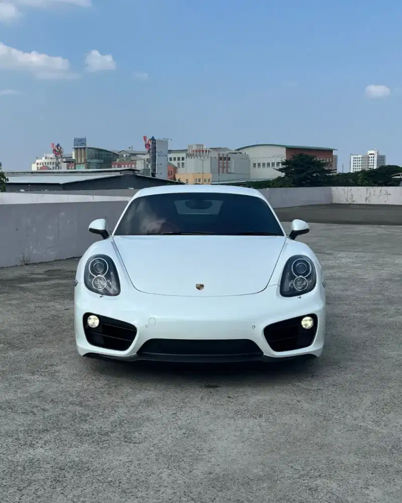 Porsche Cayman 2.7  2014/NIk 13