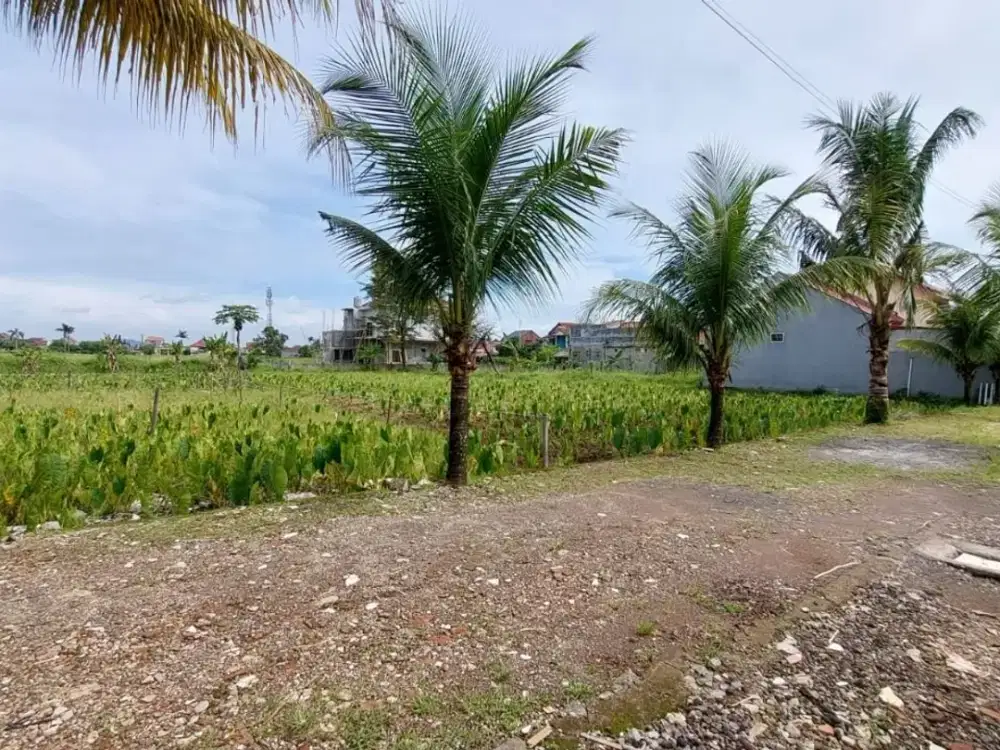 Dijual Murah Tanah Kavling Strategis 7 Menit Universitas IPB Dramaga, SHM