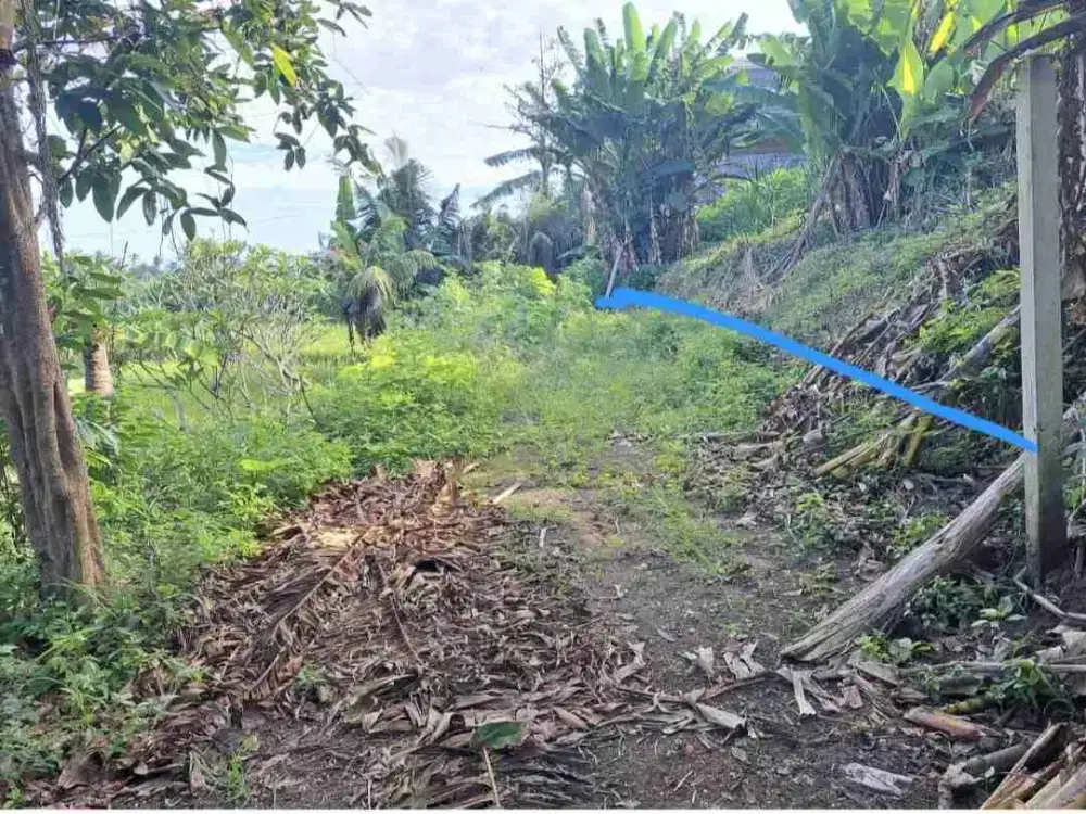 Dijual tanah di Gianyar