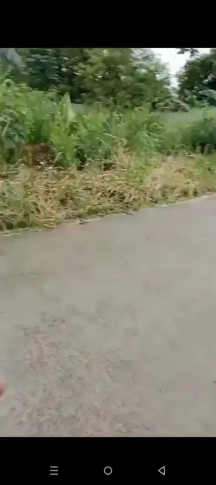 Disewakan tanah 500 mtr di pagedangan