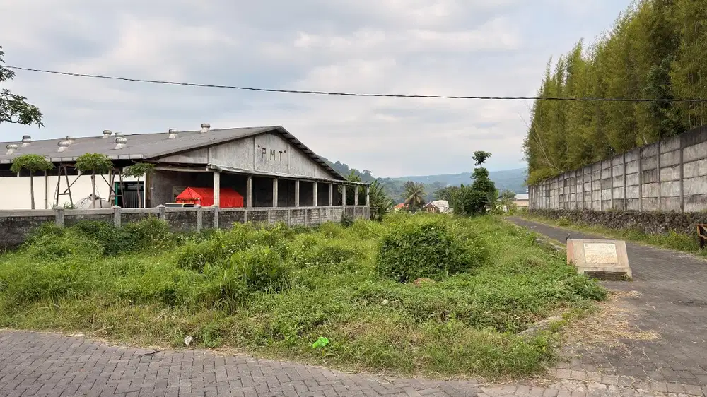 dijual Tanah, Lawang purwodadi