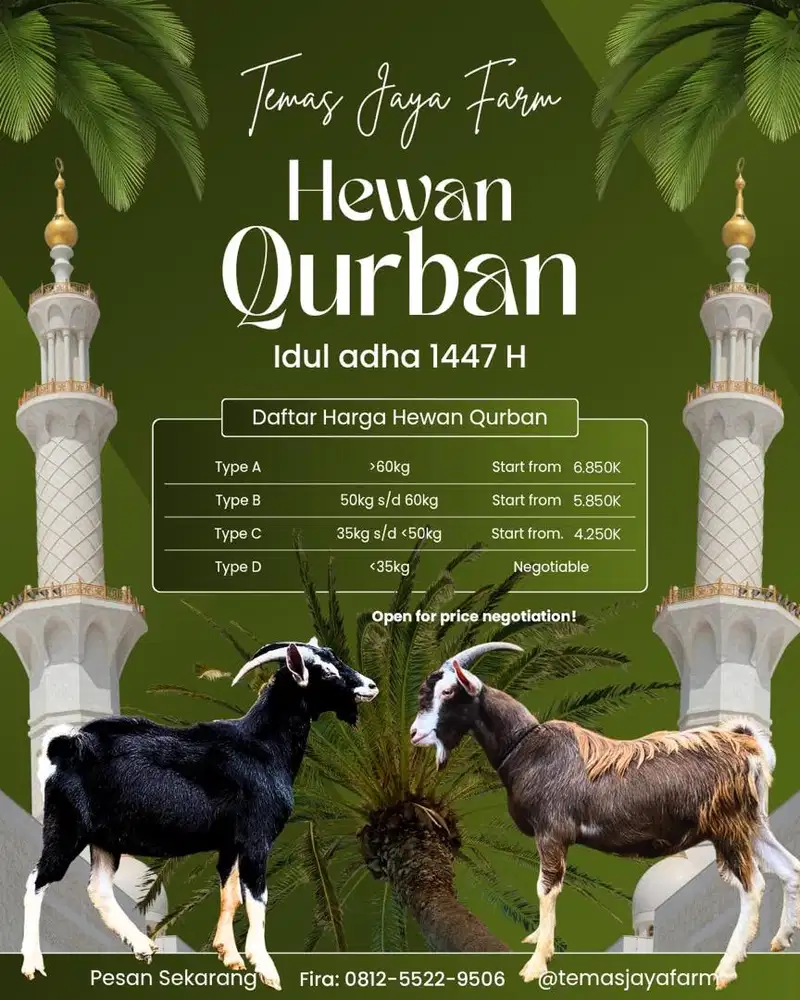Jual Kambing Qurban