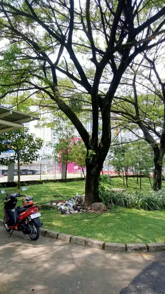 info pekerjaan pak/bu bos untuk saya