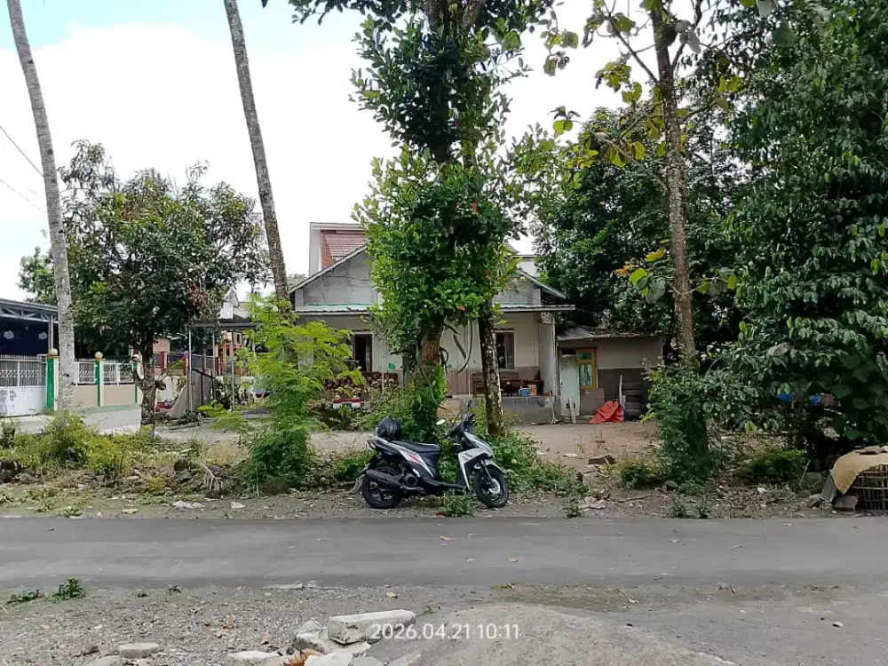 Tanah murah dekat masjid hanya 2 KM Ke pasar Rejondani Sleman
