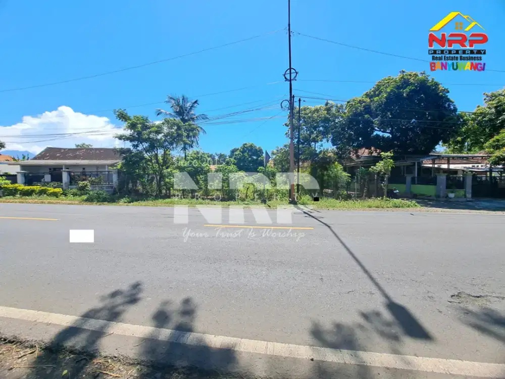 Dijual Tanah Siap Bangun Murah Akses tepi Jl. Provinsi di Wongsorejo - Banyuwangi