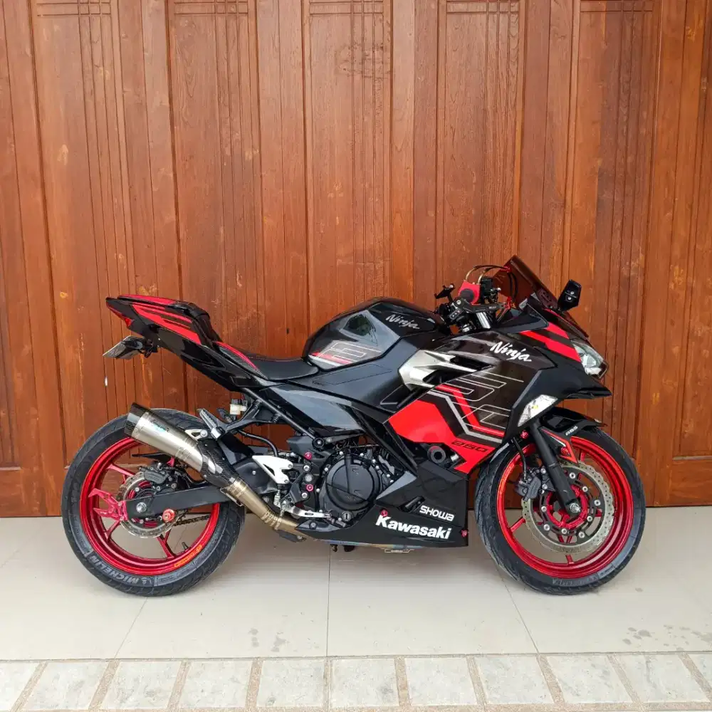 KAWASAKI NINJA 250 FI 2018 ABS