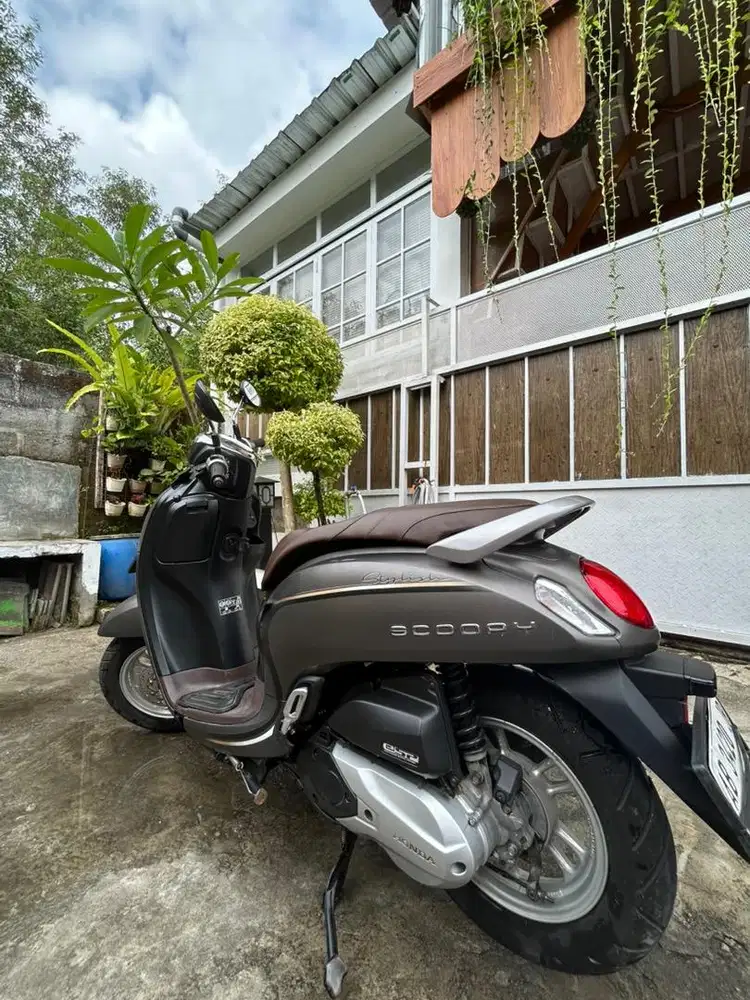 Scoopy 2022 Brown Keyless