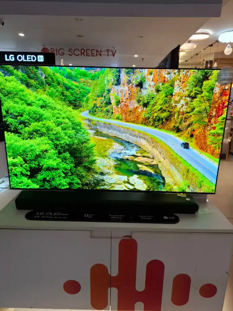TV LG OLED 55inch