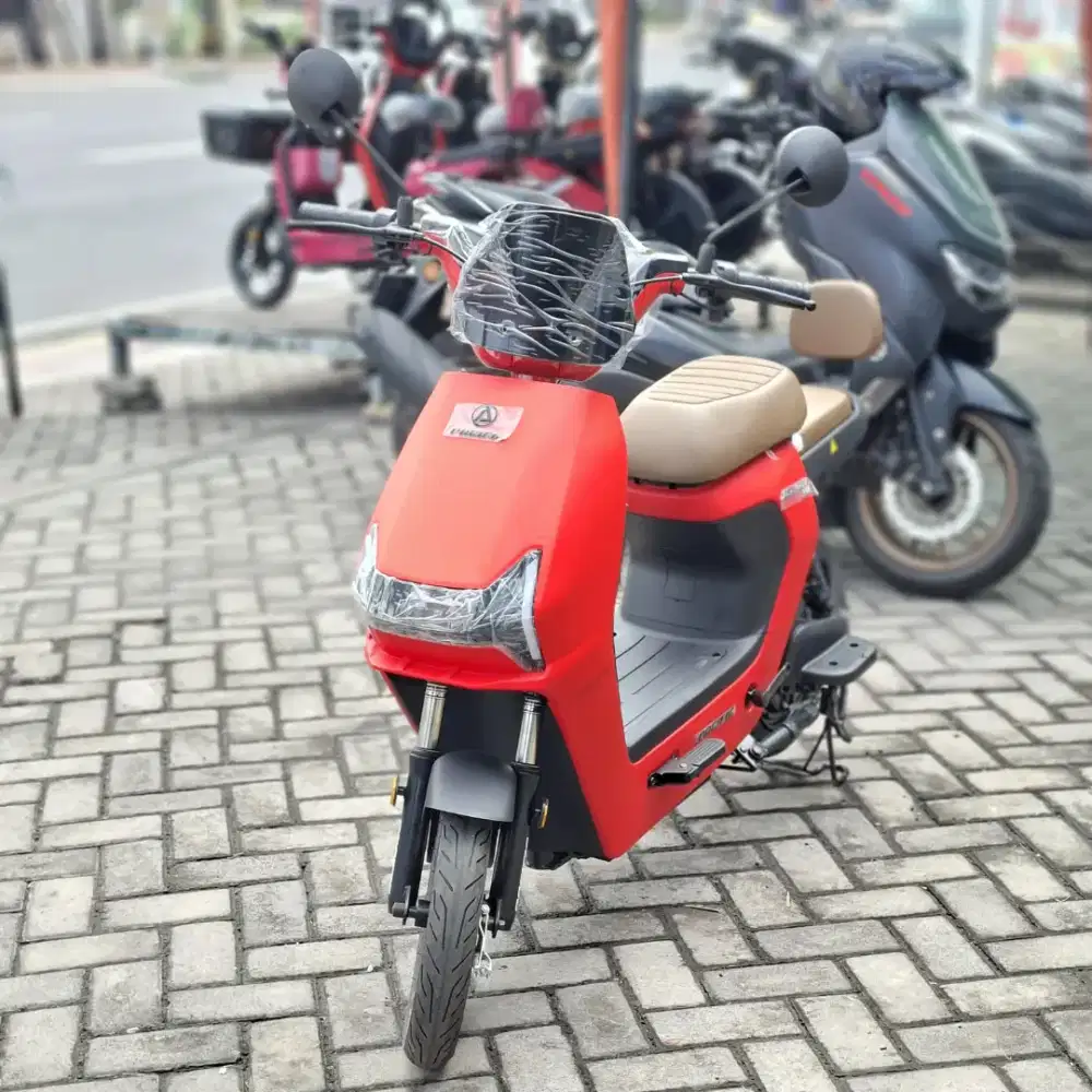 Sepeda listrik garansi 1tahun bebas nego