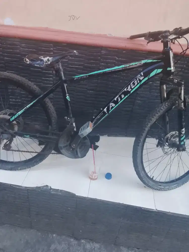 Sepaeda fastron dewasa