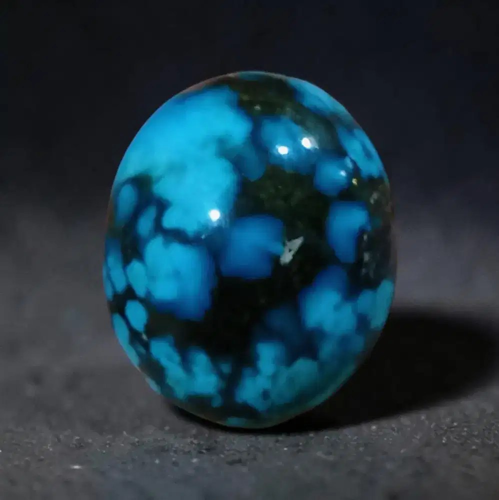 Pirus Persia ( Turquoise )