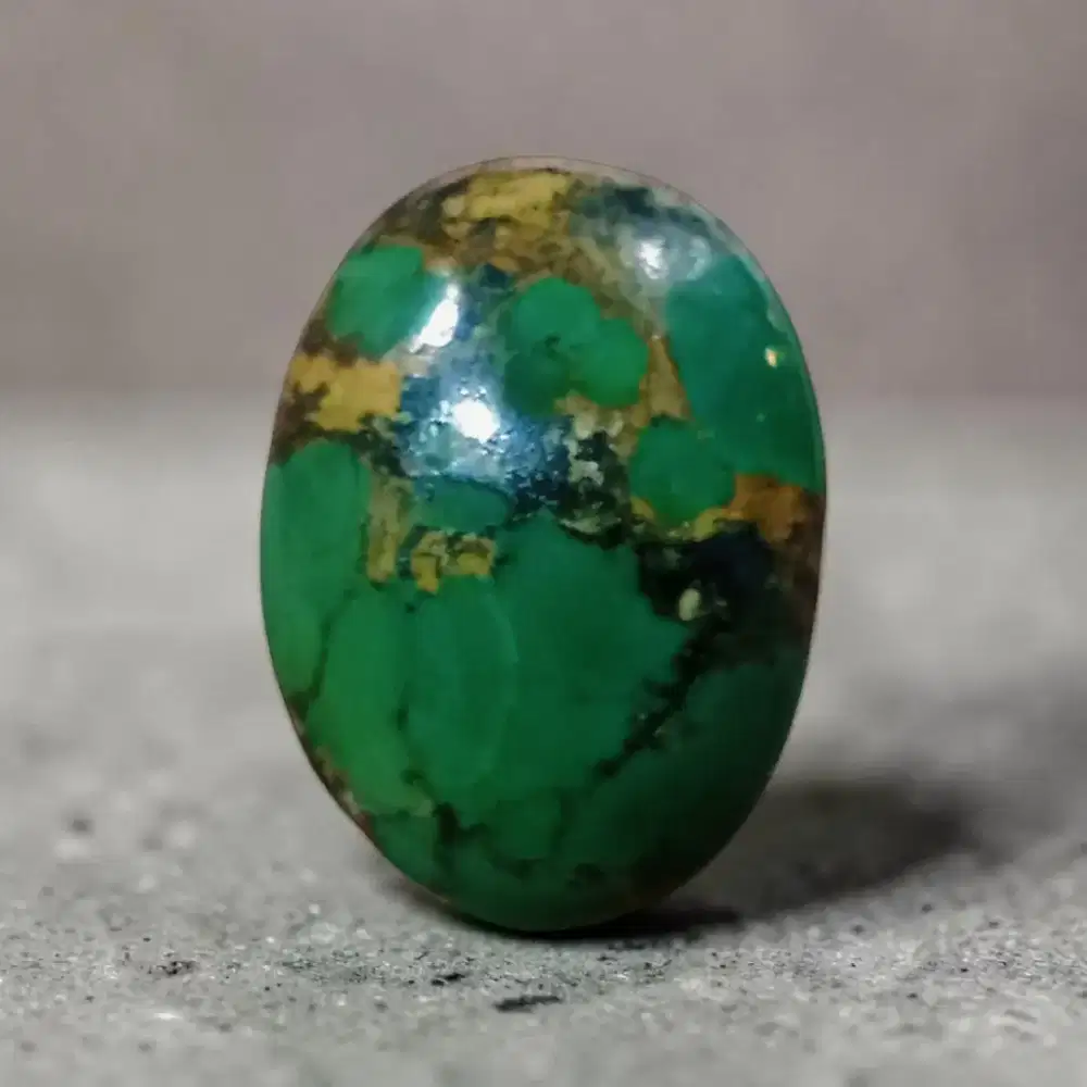 Pirus Persia ( Turquoise )