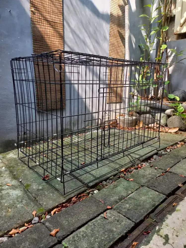 Kandang Kucing Jumbo