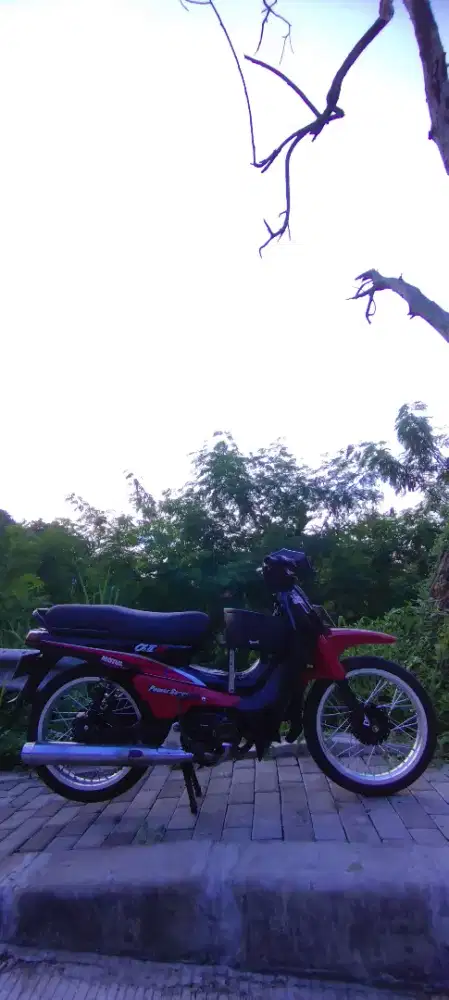 Yamaha alfa 1992 double stater