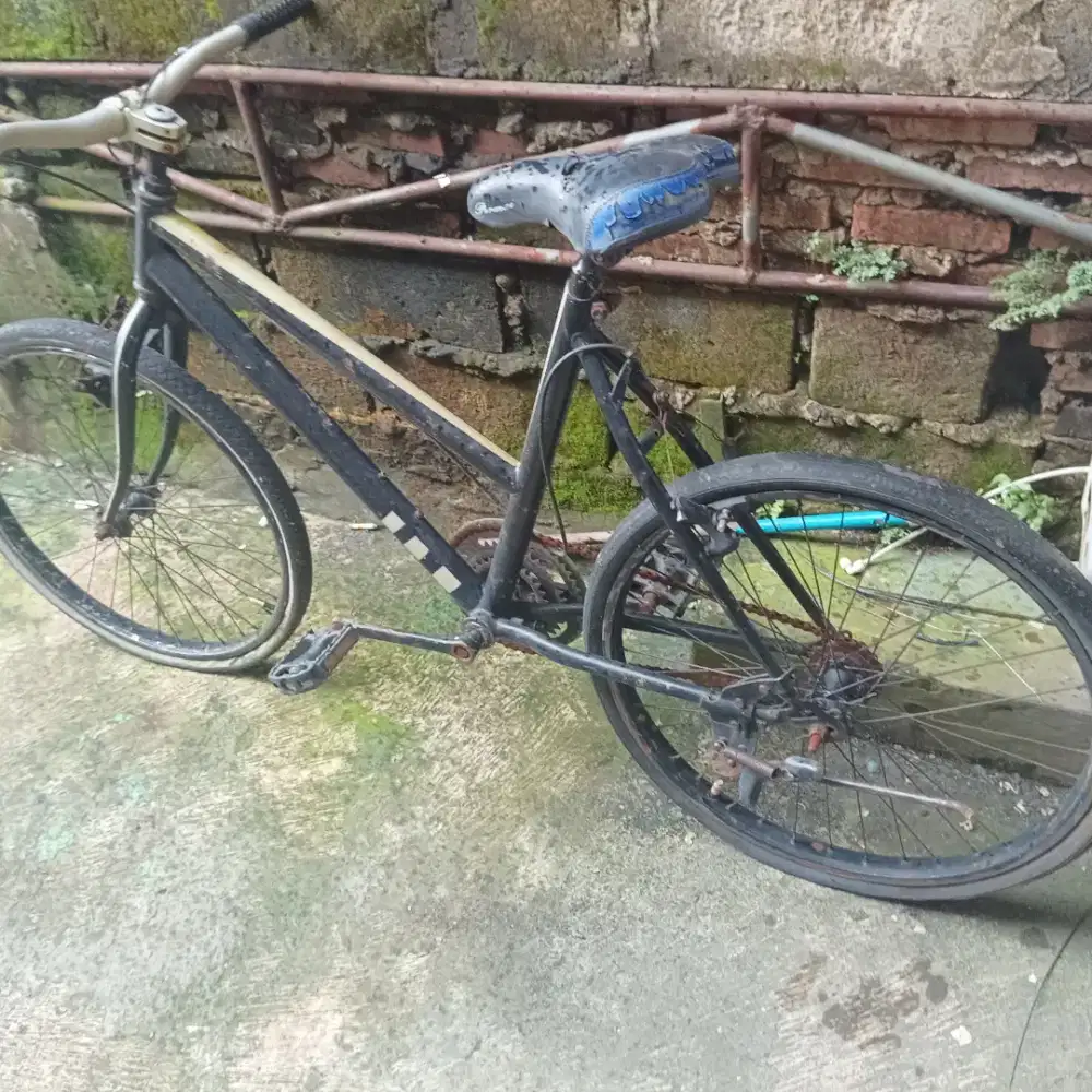 Sepeda federal  kayuh