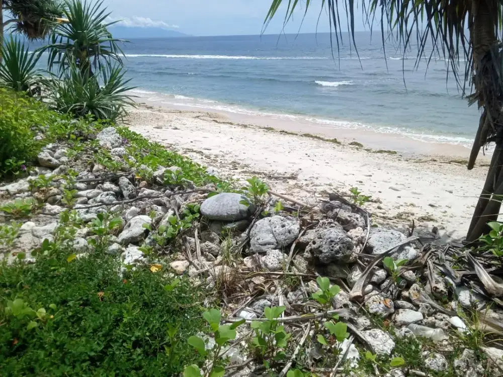 DISEWAKAN TANAH LOS PANTAI – BATUNUNGGAL, NUSA PENIDA