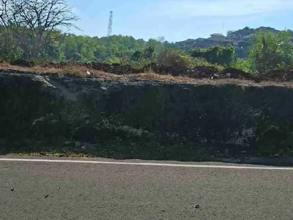 dijual tanah 550 m² IDR 850 juta per arf Depan gate pantai tanah barak Kutuh Kuta Selatan Badung Bali