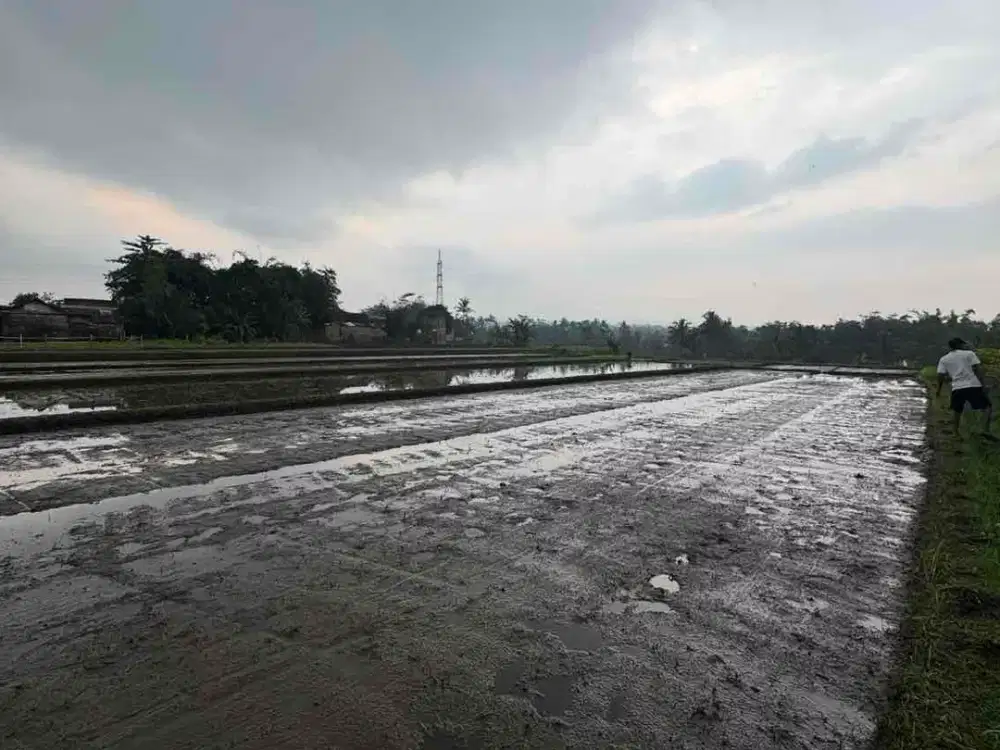 SAWAH MALANG MURAH SERTIFIKAT