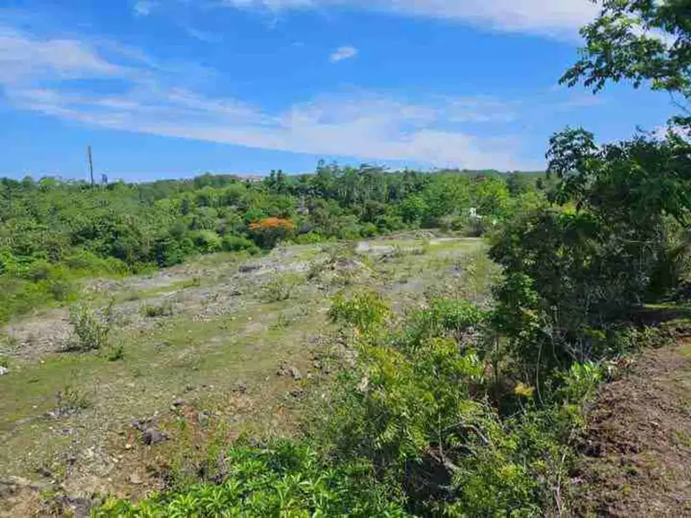 dijual tanah 2,05 hektar IDR 500 juta per are  kawasan pantai balangan jimbaran badung bali