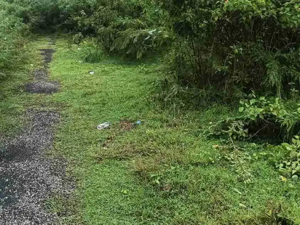 dijual tanah 3,40 are  IDR 450 juta di goa gong atas ungasan Kuta Selatan Badung Bali