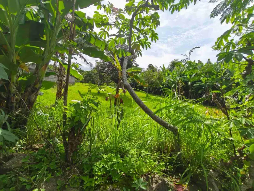 dijual tanah 4880 m²  dekat beranda bukit Kutuh Pandawa Beach kuta selatan badung bali