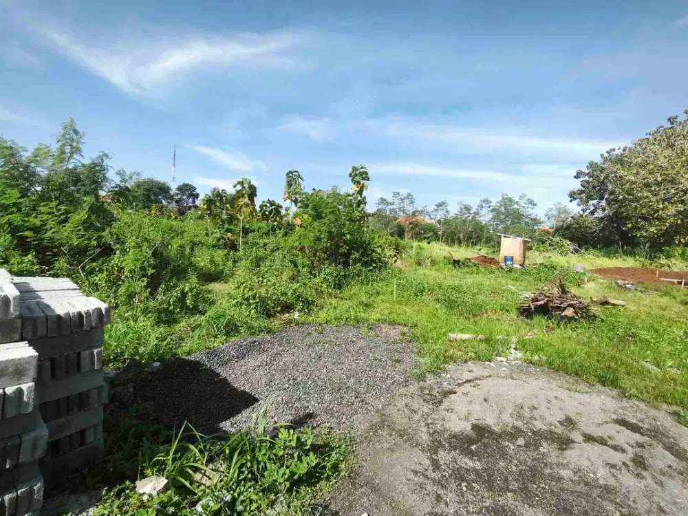 disewakan tanah luas 9 are & 10,25 are IDR 12 juta /are /th kawasan Pandawa beach kutuh kuta selatan badung bali