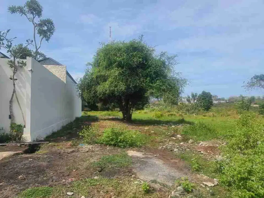 dijual tanah 3 are IDR 500 juta per are Kawasan Pandawa beach kutuh kuta selatan badung bali